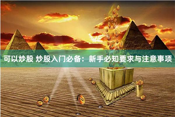 可以炒股 炒股入门必备：新手必知要求与注意事项